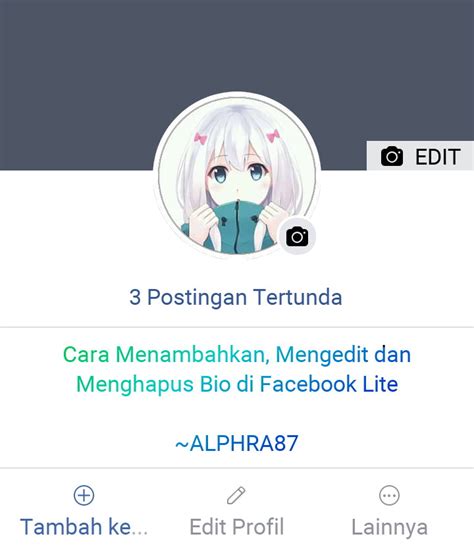 Apa Itu Bio di FB Lite?
