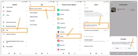 Menghapus Album Kosong melalui Menu Pengaturan