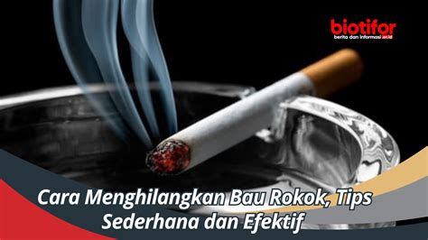 Tips Sederhana dan Efektif