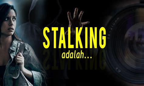 Dampak Stalking pada Kehidupan Sehari-Hari 🤔