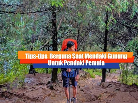 Tips Berguna