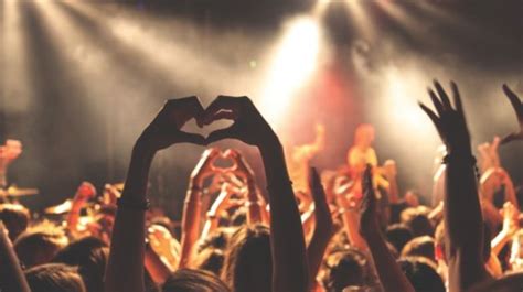 Apa Itu Top Fans?