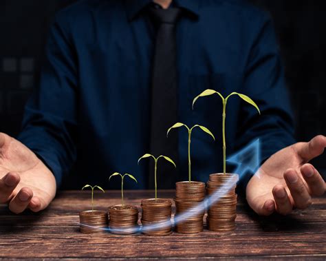 Bisnis dan Investasi