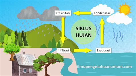 7. Laut dan Hujan