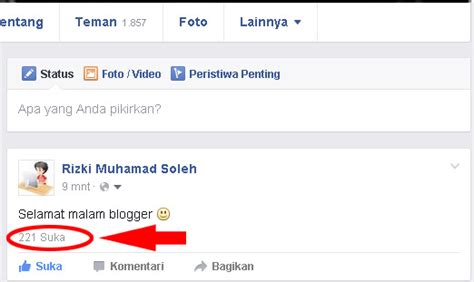 apa itu status fb yang banyak disukai?